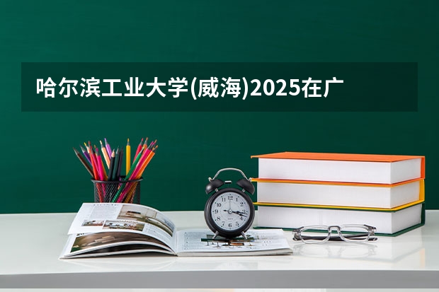 哈尔滨工业大学(威海)2025在广东招生计划