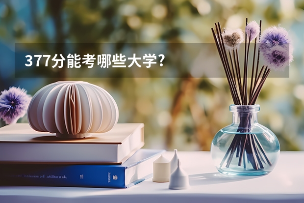 377分能考哪些大学?