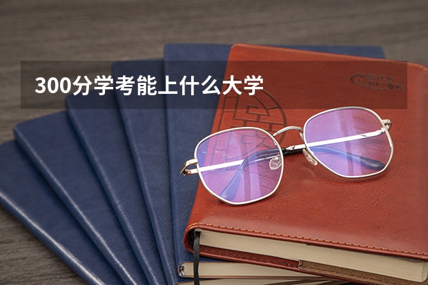300分学考能上什么大学