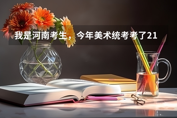 我是河南考生，今年美术统考考了213分，文化课估计能考300分。能上什么大学，能上二本吗