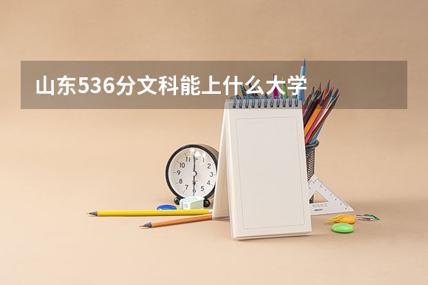山东536分文科能上什么大学