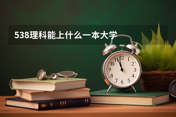 538理科能上什么一本大学