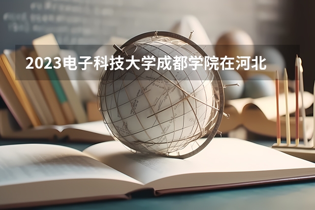 2023电子科技大学成都学院在河北高考专业计划招生多少人