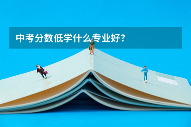 中考分数低学什么专业好?