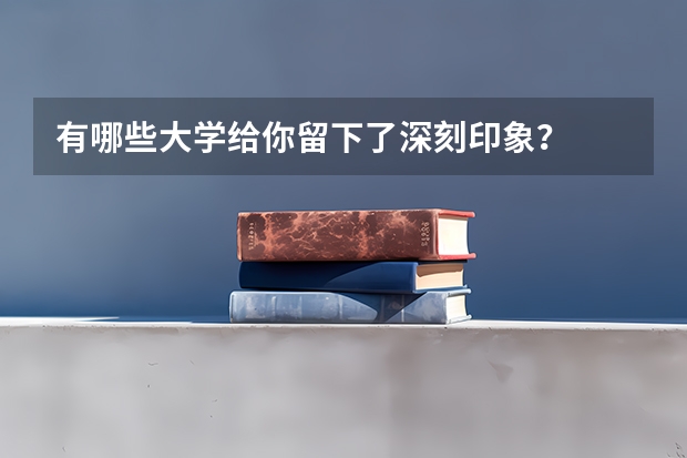 有哪些大学给你留下了深刻印象？