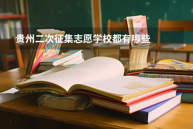 贵州二次征集志愿学校都有哪些