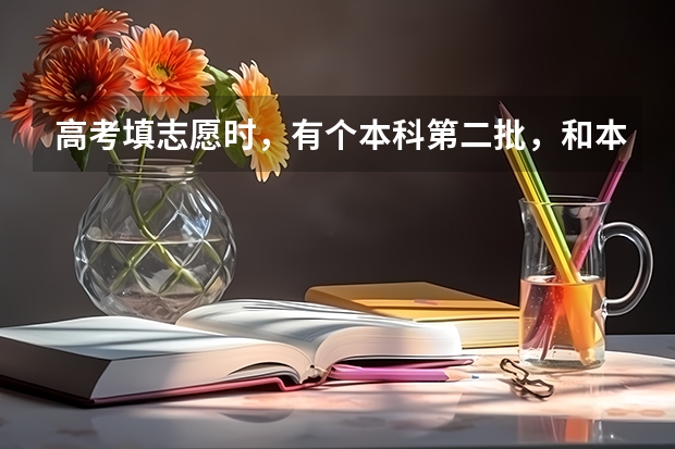 高考填志愿时，有个本科第二批，和本科第二批预科批，同时填了它们的平行志愿A的话，哪个先生效？