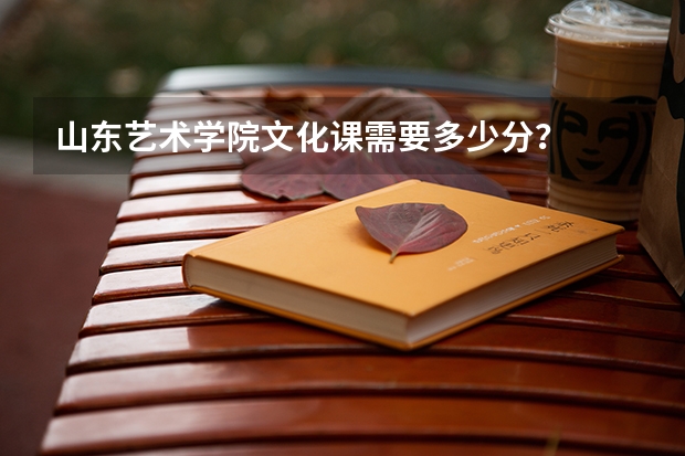 山东艺术学院文化课需要多少分？