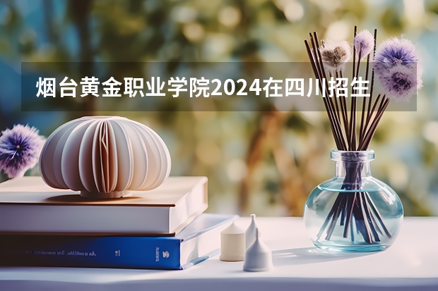 烟台黄金职业学院2024在四川招生计划