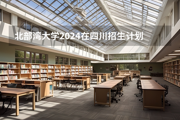 北部湾大学2024在四川招生计划
