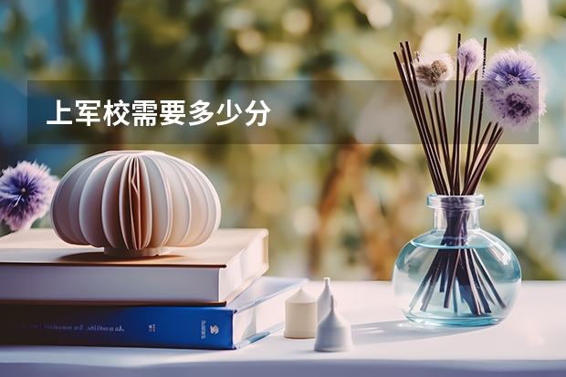 上军校需要多少分