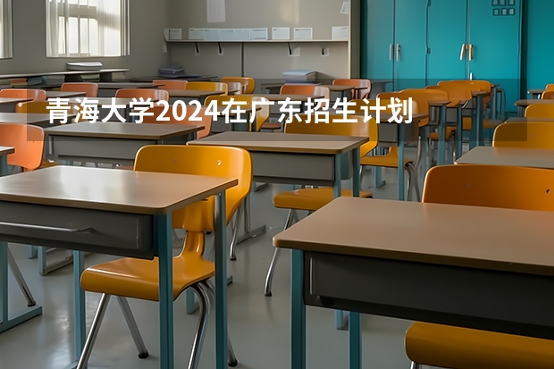 青海大学2024在广东招生计划