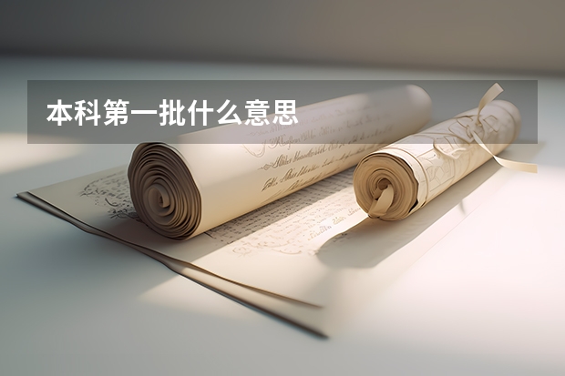 本科第一批什么意思