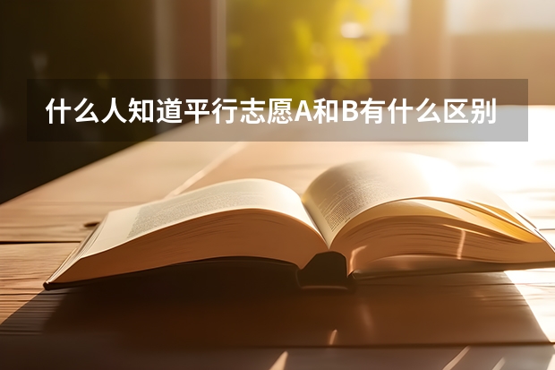 什么人知道平行志愿A和B有什么区别!