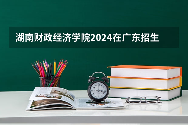 湖南财政经济学院2024在广东招生计划