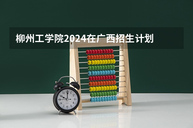 柳州工学院2024在广西招生计划