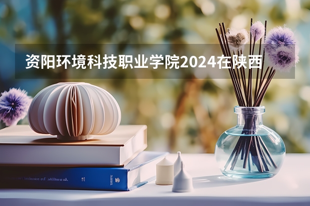 资阳环境科技职业学院2024在陕西招生计划