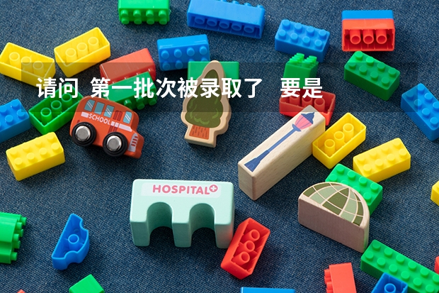 请问  第一批次被录取了   要是申请退档  能参加第二批次的录取吗？