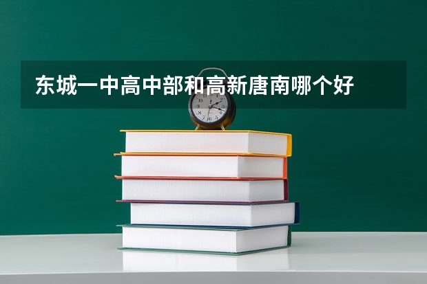 东城一中高中部和高新唐南哪个好