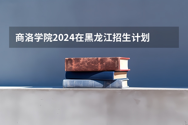 商洛学院2024在黑龙江招生计划