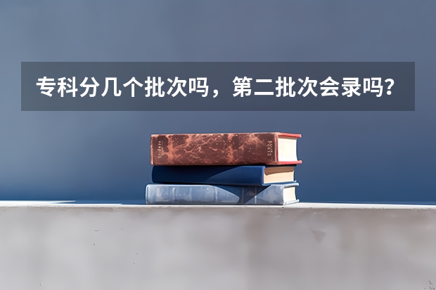 专科分几个批次吗，第二批次会录吗？