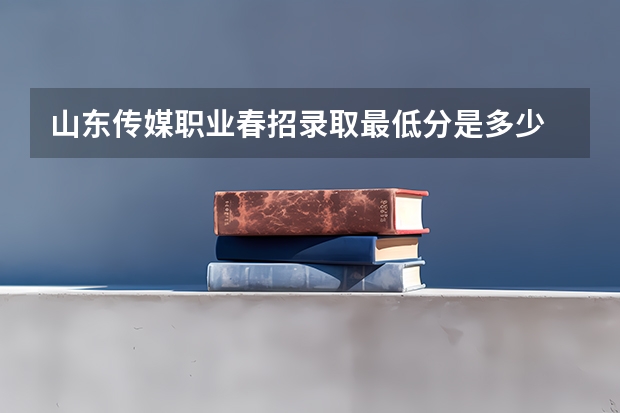 山东传媒职业春招录取最低分是多少