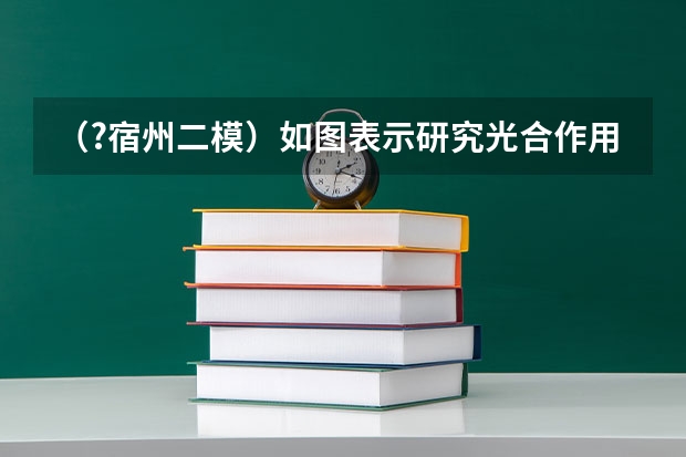 （?宿州二模）如图表示研究光合作用的实验装置，以同一双子叶植物的叶为材料，用打孔器制成叶圆片并 （?宿州二模）某同学利用如图装置探究酵母菌无氧呼吸的适宜条件．开始时锥形瓶中装有一定量质量分数