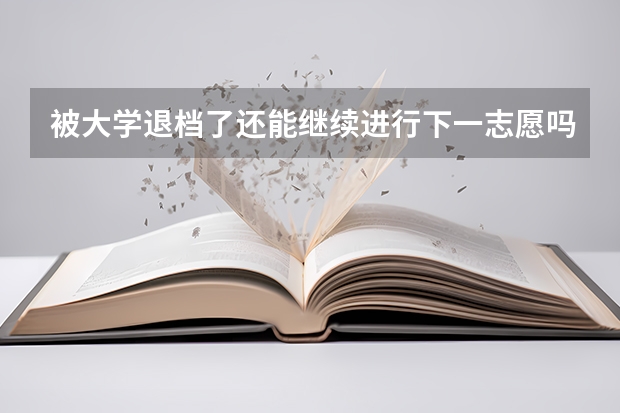 被大学退档了还能继续进行下一志愿吗