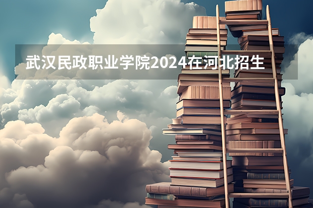 武汉民政职业学院2024在河北招生计划