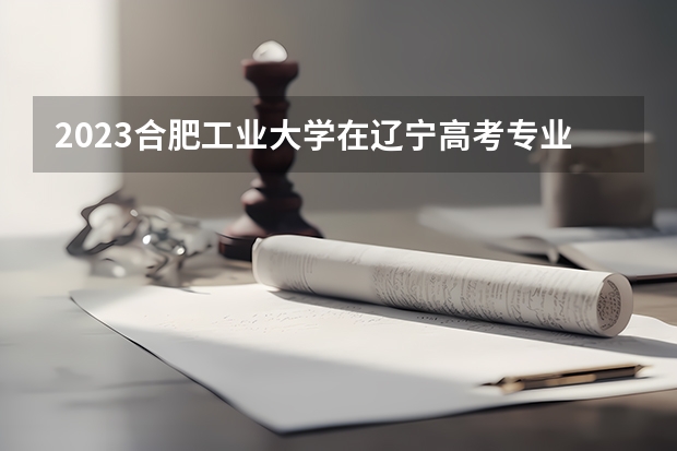 2023合肥工业大学在辽宁高考专业计划招生多少人