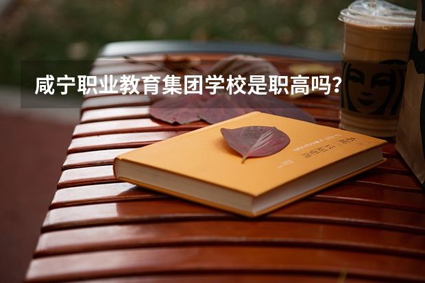 咸宁职业教育集团学校是职高吗？
