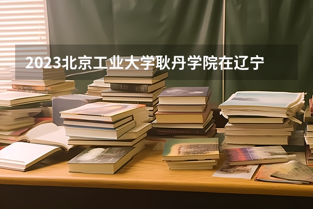 2023北京工业大学耿丹学院在辽宁高考专业计划招生多少人