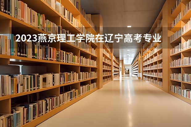2023燕京理工学院在辽宁高考专业计划招生多少人