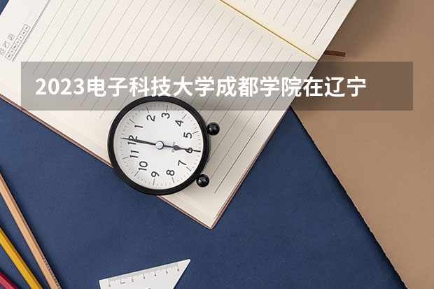 2023电子科技大学成都学院在辽宁高考专业计划招生多少人