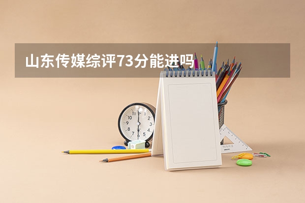 山东传媒综评73分能进吗