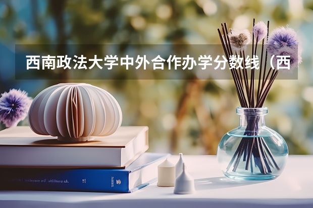 西南政法大学中外合作办学分数线(西南政法大学本科招生简章,招生专业)