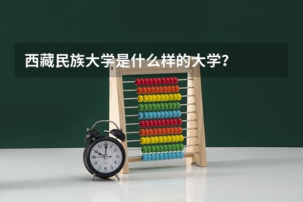 西藏民族大学是什么样的大学？