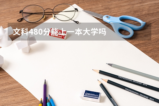 文科480分能上一本大学吗