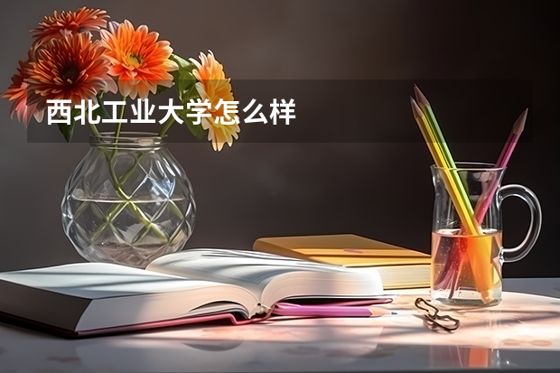 西北工业大学怎么样