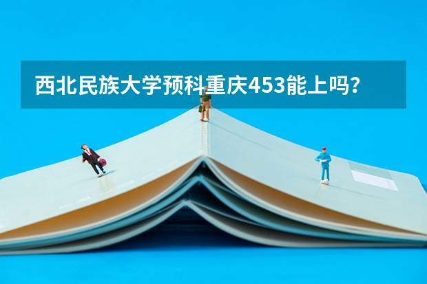 西北民族大学预科重庆453能上吗?