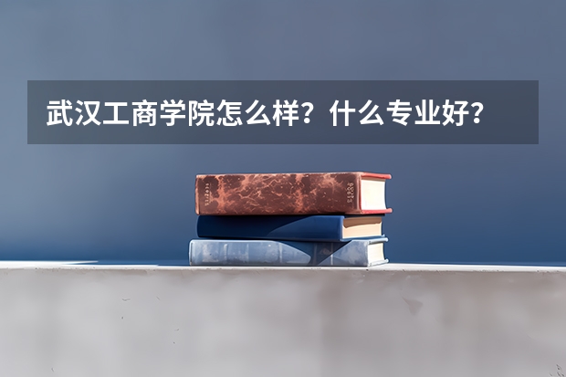 武汉工商学院怎么样？什么专业好？