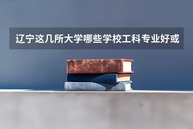辽宁这几所大学哪些学校工科专业好或者说哪些是以工科为主打专业的学校