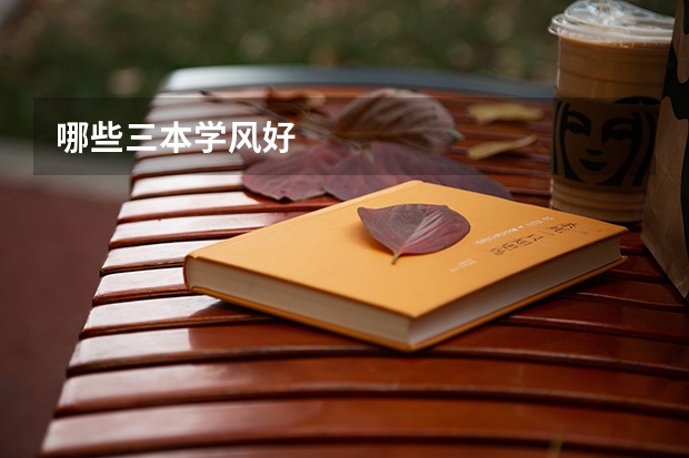 哪些三本学风好