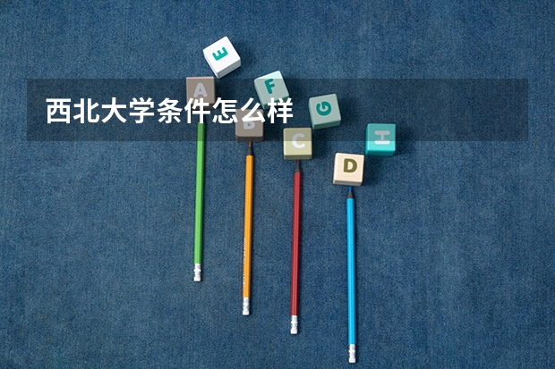 西北大学条件怎么样