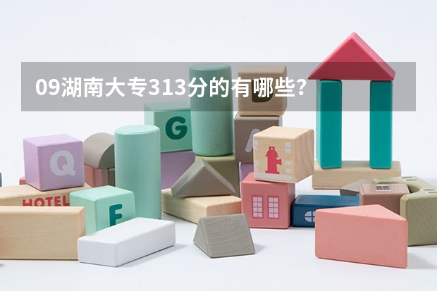 09湖南大专313分的有哪些?