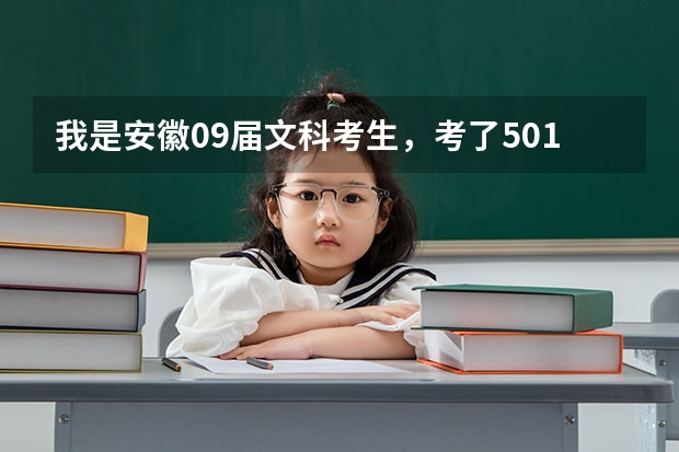 我是安徽09届文科考生,考了501分,刚达二本线.填安徽财经大学商务院的会计专业(三本)可以吗