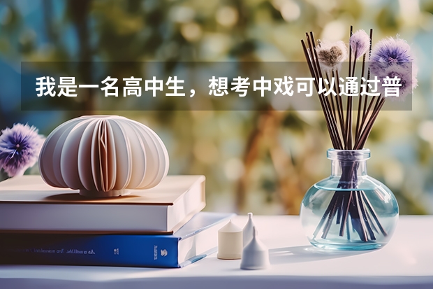 我是一名高中生，想考中戏可以通过普通高考录取么， 除了文化课分，还要算什么分还要额外回其他艺术么