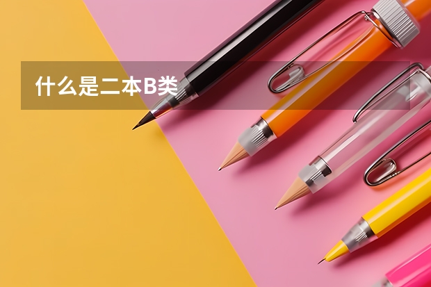 什么是二本B类