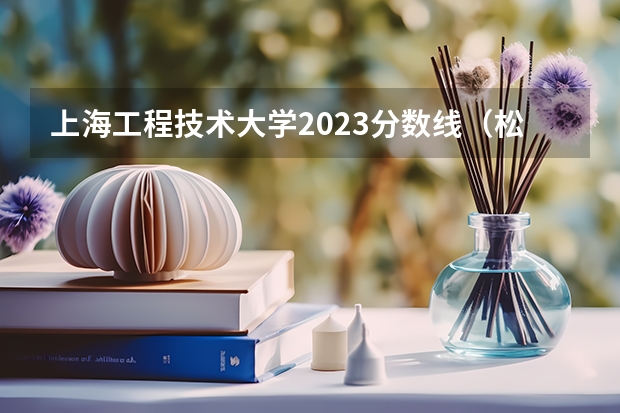 上海工程技术大学2023分数线（松江大学城大学分数线）