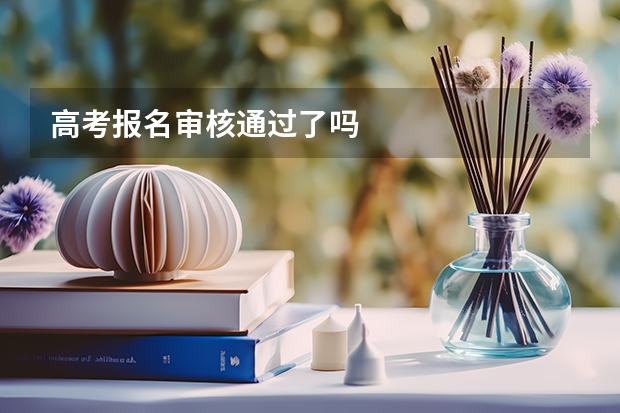 高考报名审核通过了吗